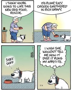 a comic strip with an old lady and her dog