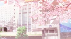 a city street with cherry blossoms on the trees and buildings in the backround