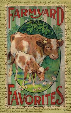 an old farmyard book with two cows in the grass and one is eating leaves