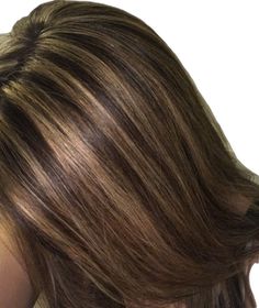 Skunk Highlights Brown Hair, Honey Blonde Highlights On Black Hair, Skunk Hair Brown, Skunk Highlights, Highlight Colors, Highlights Caramel, Skunk Hair, Highlights For Dark Brown Hair, Mha Dr