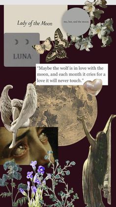 the collage has flowers, birds and butterflies on it with words above them that read lady of the moon maybe the wolf is in love with the moon