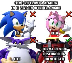 sonic the hedgehog and other cartoon characters with captions in spanish, english or french