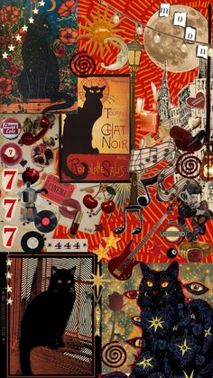 a collage of cats and other things on a wall with the caption cat noir