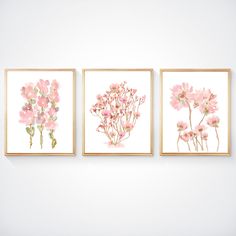 three pink flowers are hanging on the wall in front of a white wall with two framed pictures