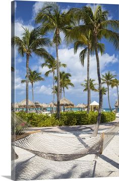 a hammock on the beach with palm trees