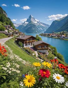 flowers are blooming in the foreground and houses on the other side of the water