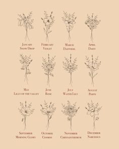 an image of flowers that are labeled in english and spanish language on a beige background