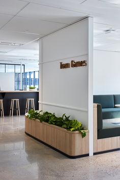 an office with plants in the planter on the wall