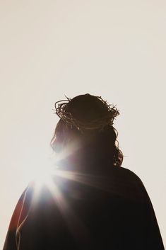 the back of a person's head, with sun shining through their hair and behind them there is a bird nest