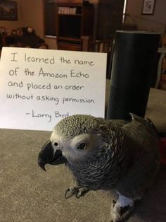 a bird sitting on the floor next to a sign that says i learned the name of the amazon echo and placed an order without asking person