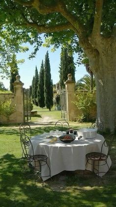 the table is set for two under the shade of a large tree in the garden