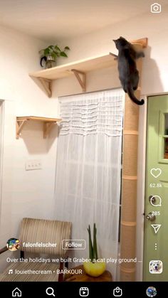 a cat sitting on top of a wooden shelf next to a chair and table in a living room