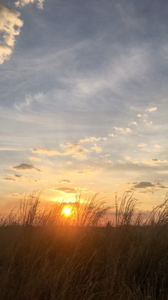 the sun is setting behind tall grass in an open field with clouds and blue sky