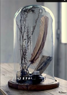 a glass dome with some plants and feathers inside it on a wooden table in front of a window