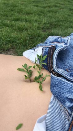 a small plant growing out of the back of someone's stomach