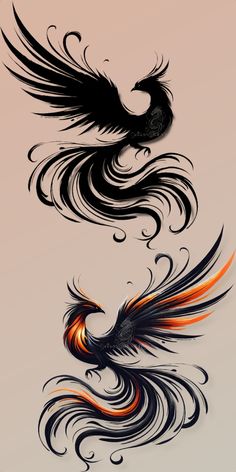 two black and orange birds with swirls on their wings, one flying in the air