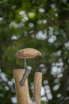 a small bird perched on top of a wooden post in front of green leaves and trees