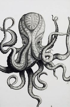 an octopus drawing in black and white