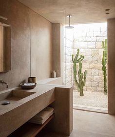 a bathroom that has a cactus in the shower and a large mirror on the wall