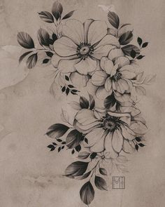 a black and white drawing of flowers with leaves on the bottom half of their petals