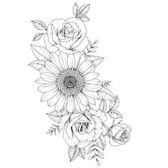 a black and white line drawing of flowers on a white background, with leaves in the middle