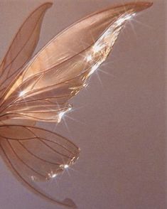 a close up view of the back end of a butterfly's wing with light shining on it