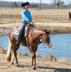 a woman riding on the back of a brown horse next to a lake and horses