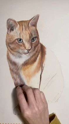 a drawing of a cat is being held by a person's hand while they are looking at the camera