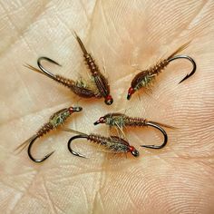 five flies are arranged in a circle on a person's hand, with red eyes