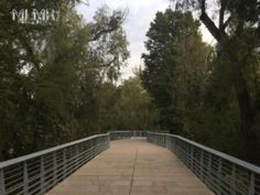 a wooden bridge with metal railings and trees in the background on a cloudy day