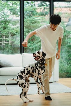 a man standing next to a dalmatian on top of a hard wood floor