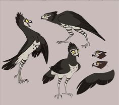 several different types of birds with yellow eyes and black feathers, all standing in the same direction