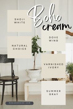 the font and color scheme for boho cream