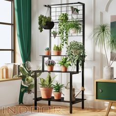 there are many potted plants on the shelves in this room and one is green