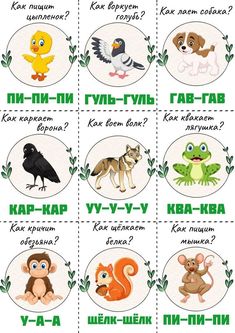 an image of animals and birds in different languages, with the words what do they mean?