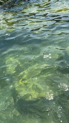 the water is so clear that it appears to be green