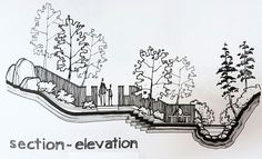 a black and white drawing of a section - elevation with trees, bushes, and stairs