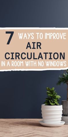 Stylish room with a striking navy-colored wall and a vibrant green plant, highlighting the importance of air quality and circulation. Pin title: '7 ways to improve air circulation in a room without windows'. Living Room Without Windows Ideas, Room Without Windows Ideas Bedrooms, Window Ventilation Ideas, Room Ventilation Ideas, Bedroom Ventilation Ideas, Windowless Room Ideas, Living Room Without Windows, Rooms With No Windows, House Air Circulation