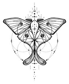 a black and white drawing of a moth with geometric designs on it's wings