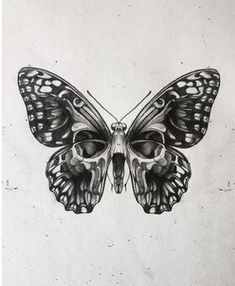 a black and white drawing of a butterfly