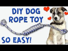 a dog holding a rope with hearts on it's back and the words diy dog rope toy so easy