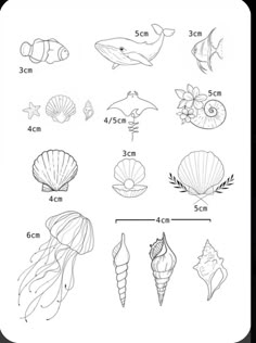 Strand Tattoo, Small Beach Tattoos, Hawaii Tattoo, Beachy Tattoos, Ocean Things, Tropical Tattoo, Hawaii Tattoos, Seashell Tattoos, Shell Tattoos