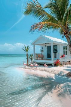 a small white house sitting on top of a sandy beach next to the ocean and palm trees