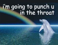 a dolphin jumping out of the water with a rainbow in the background that says, i'm going to punch u in the throat