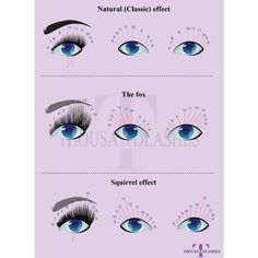 A Comprehensive Guide To Lash Mapping Types Of Eyelash Extensions, Lashes Extensions