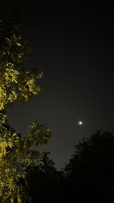 the moon shines brightly in the dark sky above trees and bushes at night time