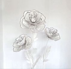 three white flowers are in a vase on a table next to a wall with a black and white drawing