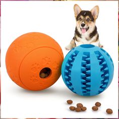 Interactive Dog Toys for Puppies 2 Pack, HIPPIH Dog Puzzle Toys for Small Dogs, Dog Balls for Medium Dogs, Treat Dispensing D Toys For Puppies, Toys For Small Dogs, Dog Puzzle Toys, Dog Puzzles, Dog Teeth