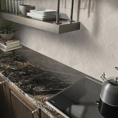 a kitchen counter top with a pot and pan on it next to a shelf filled with plates