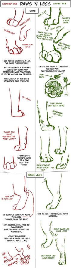 how to draw hands and feet in the style of an artist's drawing book